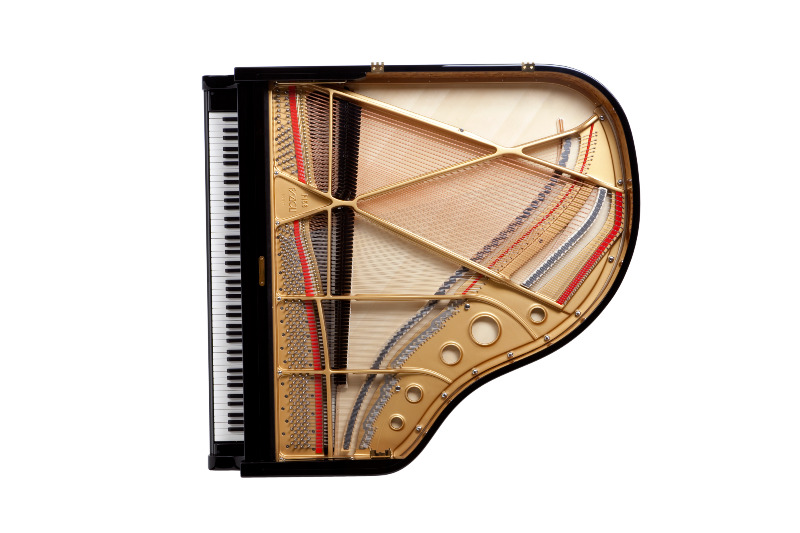 Additional image for Fazioli F156